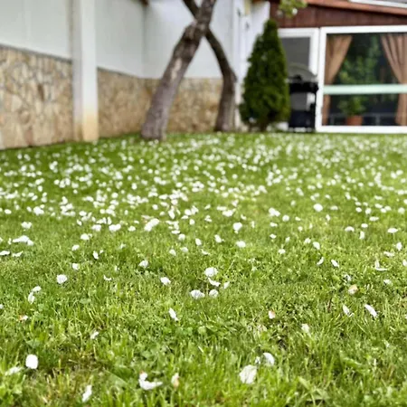 Guest House Mihalkovo * Mikhalkovo