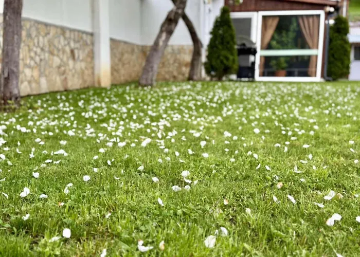 Guest House Mihalkovo * Mikhalkovo